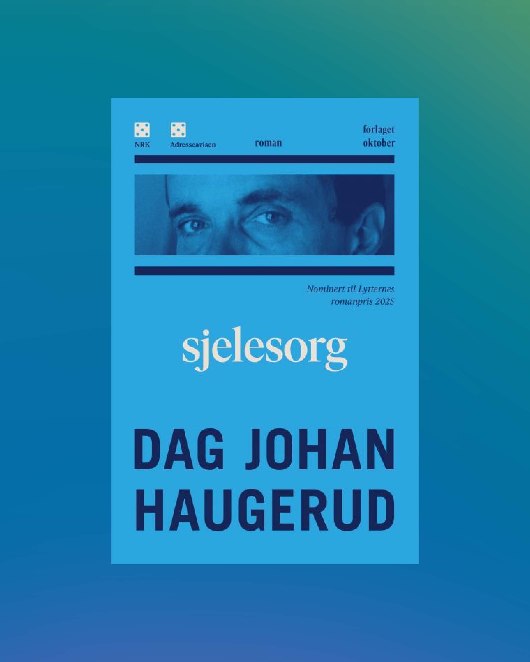 Dag Johan Haugerud Sjelesorg