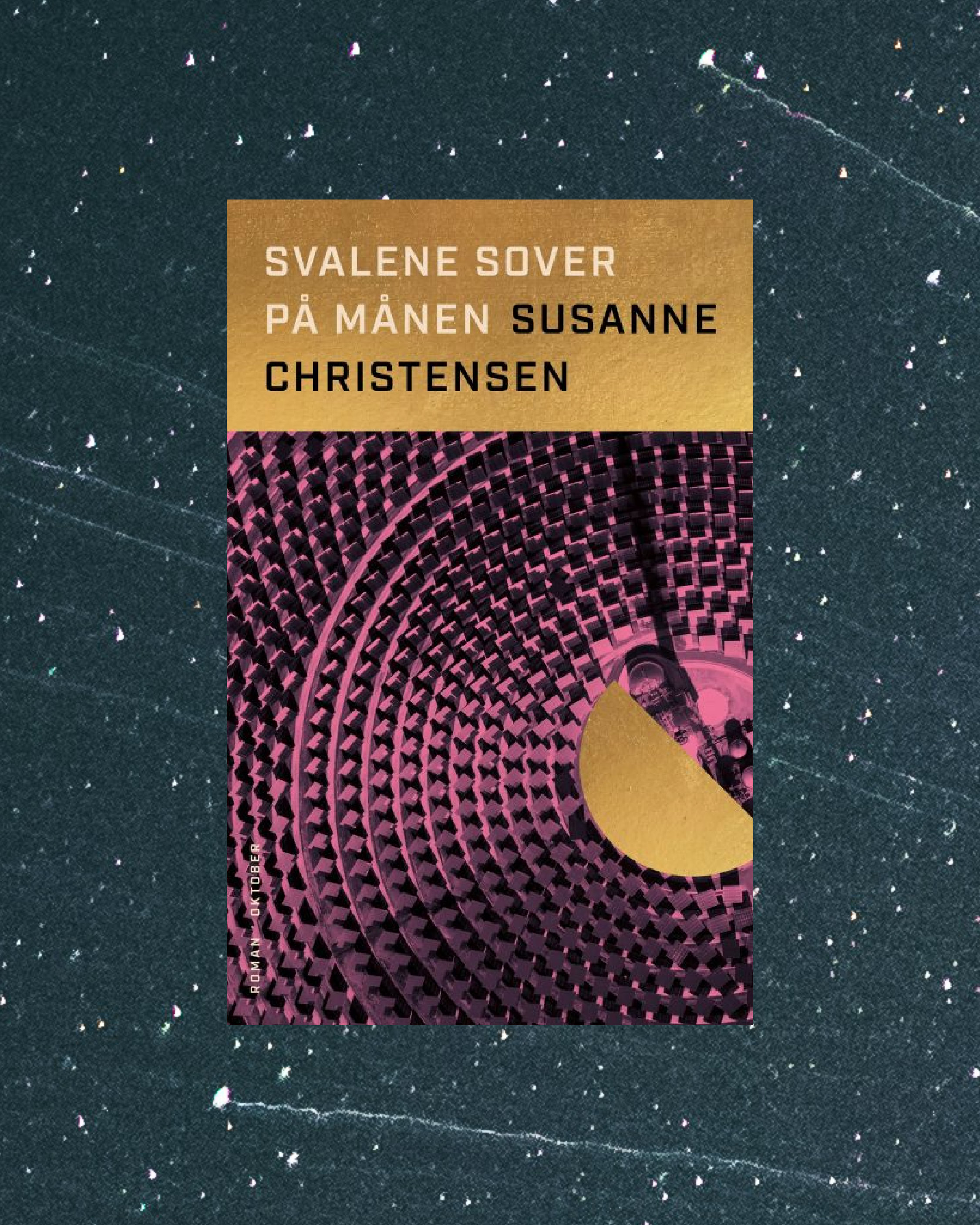 Svalene sover på månen Susanne Christensen