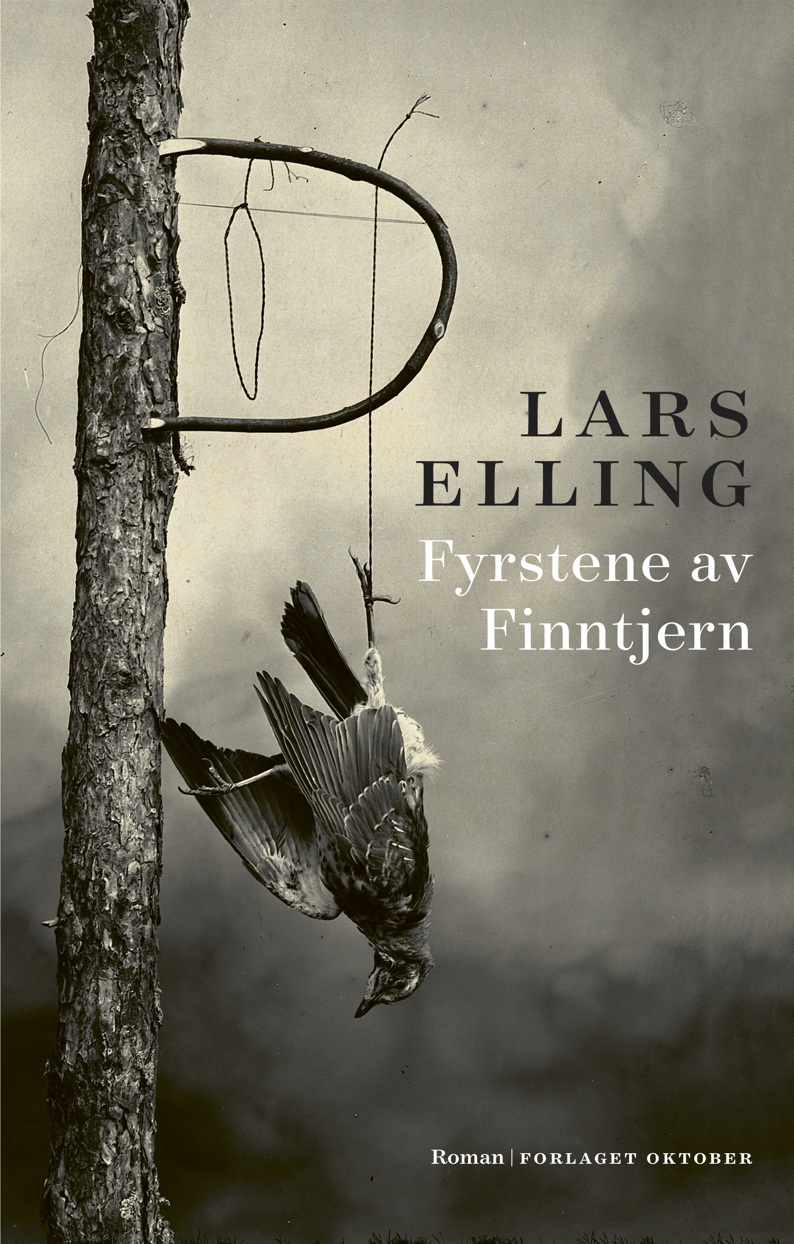 Fyrstene av Finntjern Lars Elling