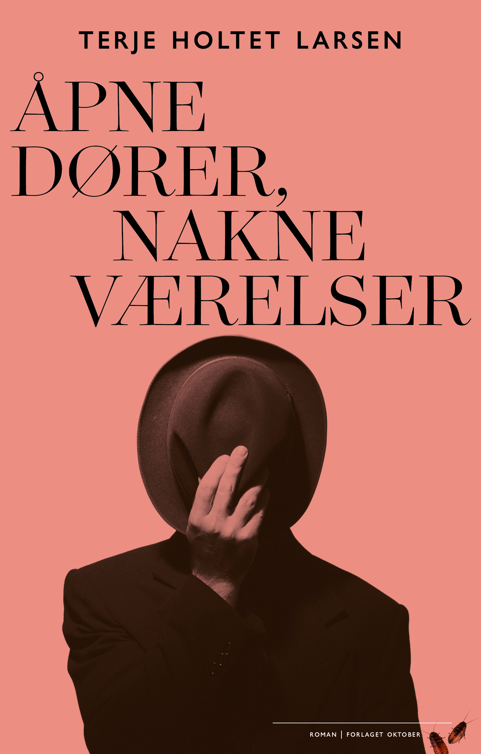 Terje Holtet Larsen - Åpne dører, nakne værelser