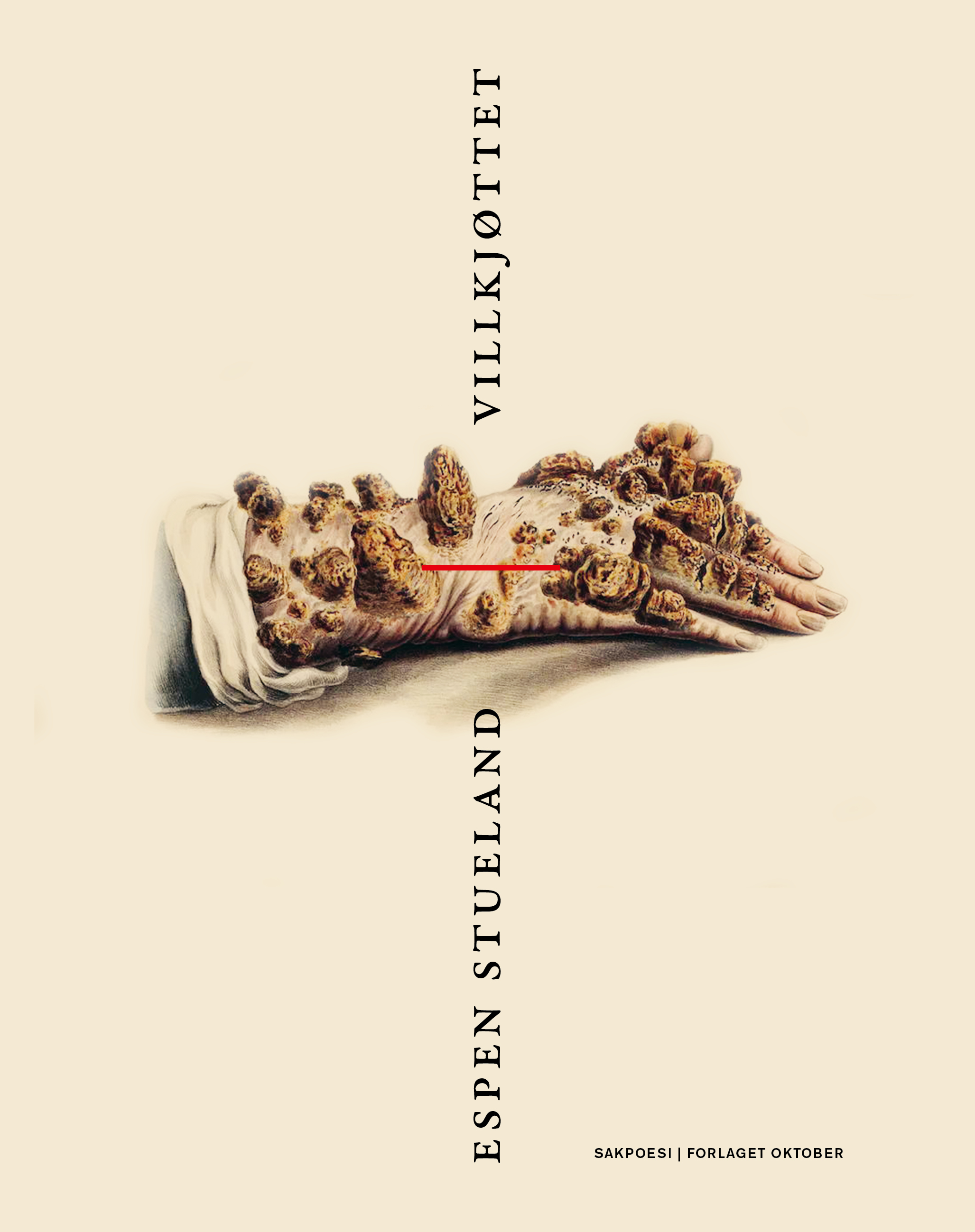 Espen Stueland - Villkjøttet